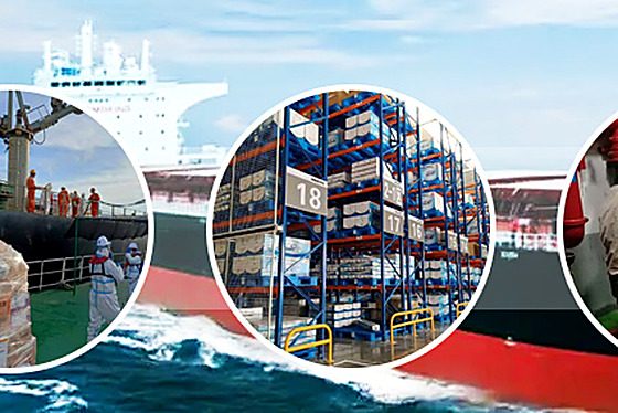 FFE & LSA Service